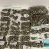 1.6 kilograms of cannabis recovered 