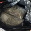 Drugs seized
