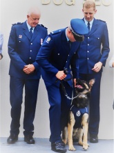 bruce michael grad