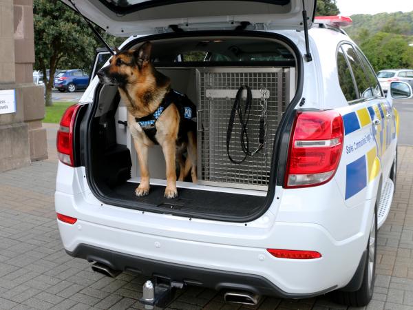 Ike in dog van