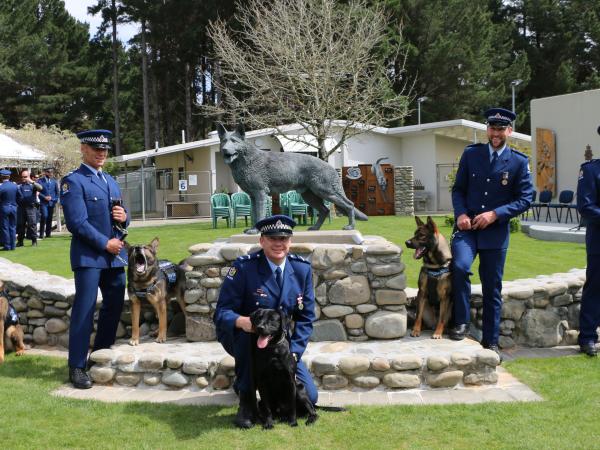 dog lineup