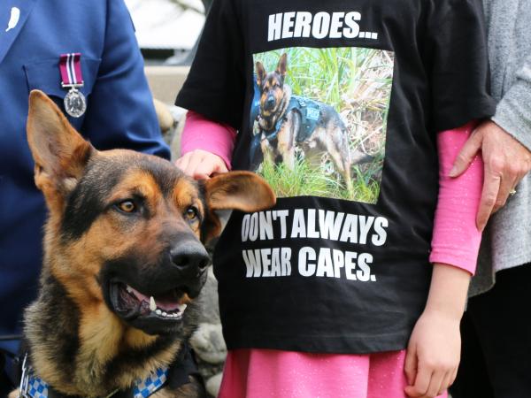dog shirt
