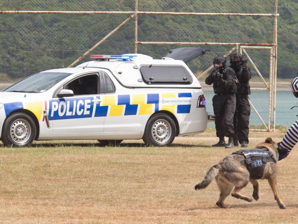 WR dog