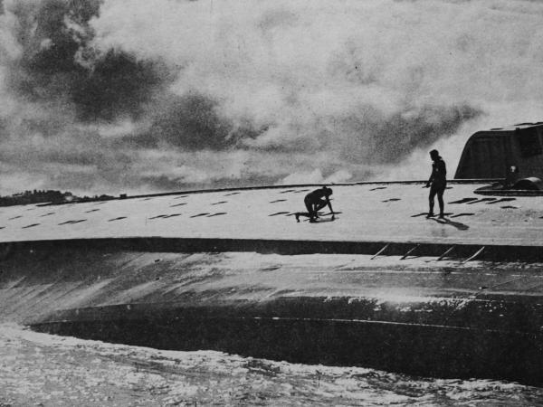 Wahine divers