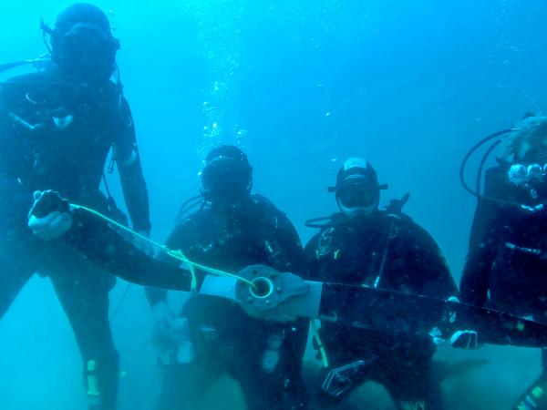 dive prop