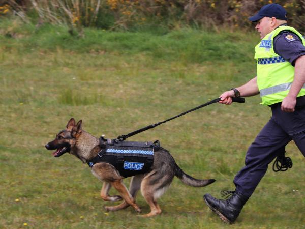 Const Lachy MacDonald and Gee on the move.JPG 