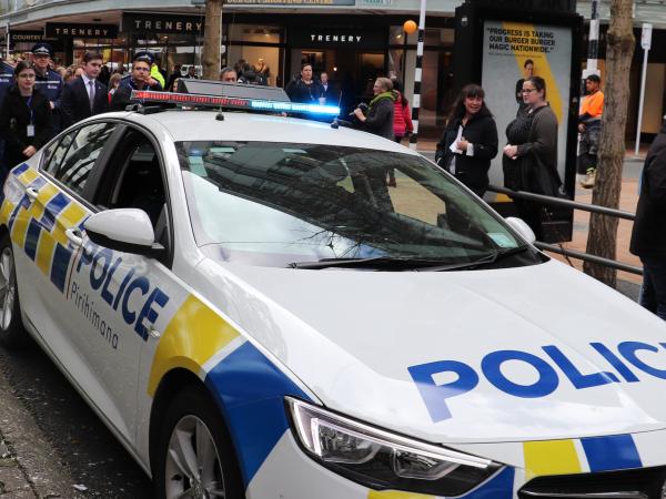 hikoi car