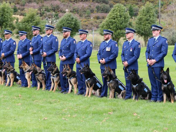 dogs line