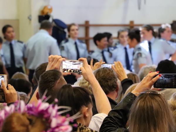 319 cameras