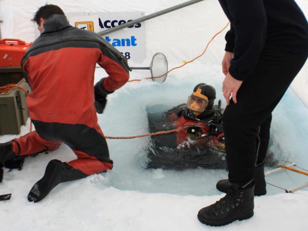 ice emerge