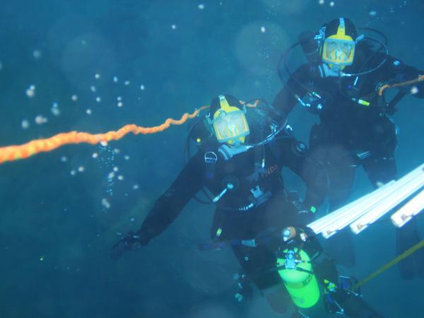 ice ladder