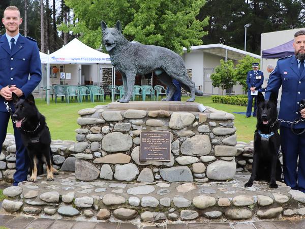 dogs northland