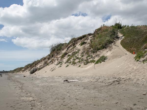 dunes