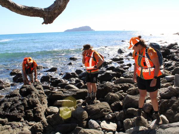 Shoreline searches along the Coromandel township's coast were part of the exercise. 