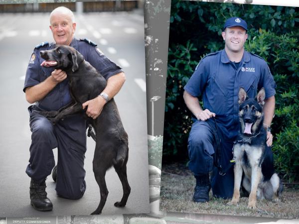 dogs bruce michael