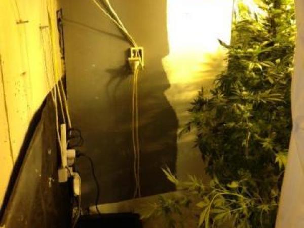 Police shut down Porirua drug dealing op