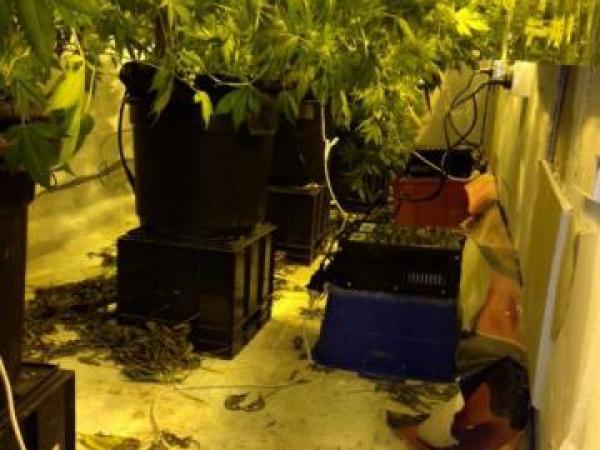 Police shut down Porirua drug dealing op