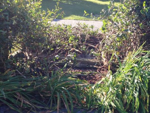 Hole leaves a whole lot of explaining to do after Ngaruawahia domestic