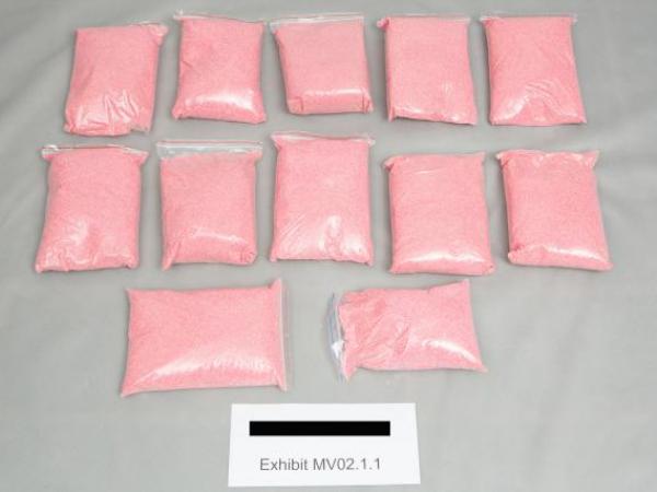 Bags of ContacNT seized during 40 search warrants acroos Auckland and Waikato.