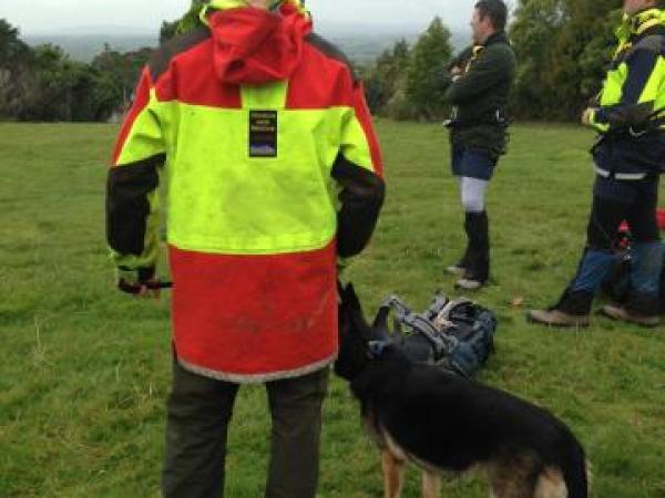 A specialist SAR dog during training on Mt Pirongia