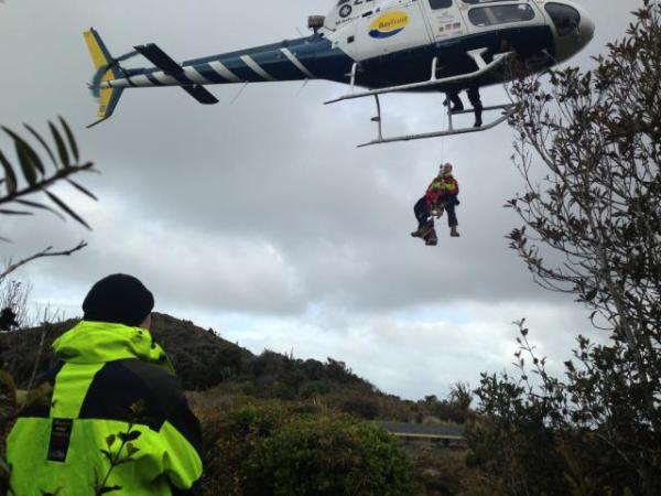 A specialist search dog airlifted on to Mt Pirongia in September