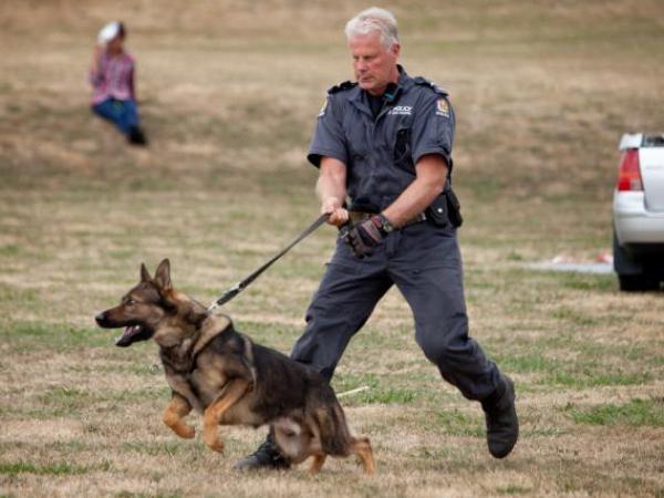 Police dog