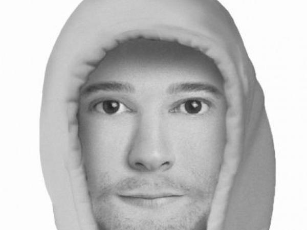 Identikit image