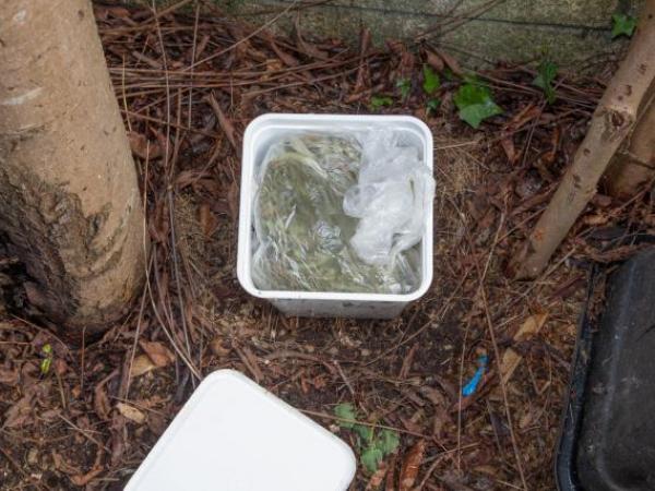 On inspection it was found to contain pre-packaged bags of cannabis