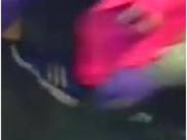 shoe