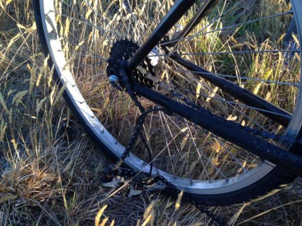 Rolleston hit and run cyclist v car