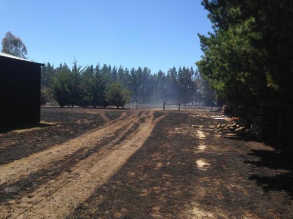 scene of Wild Road fire