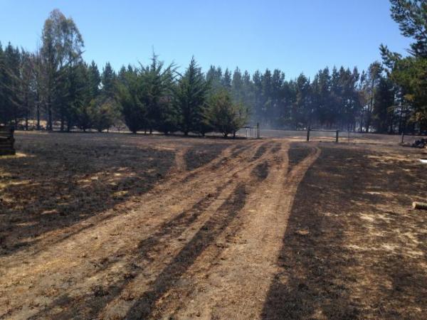 scene of Wild Road fire