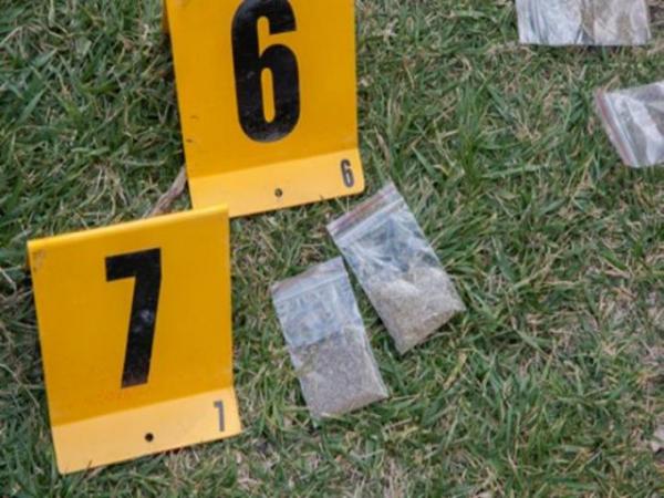 Some of the synthetic cannabis recovered