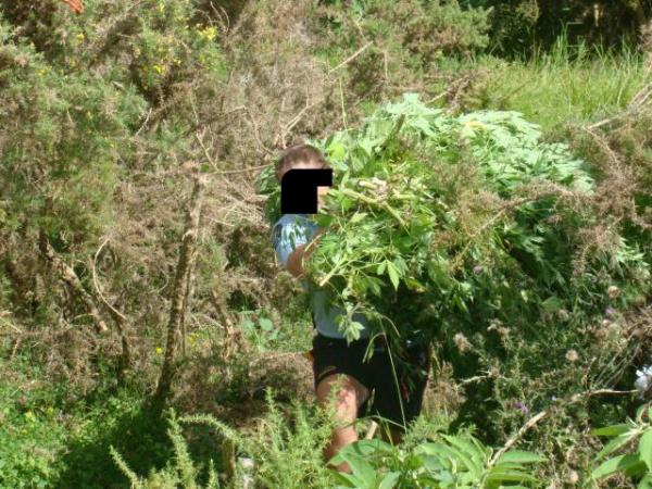 An officer with some of the operation's haul