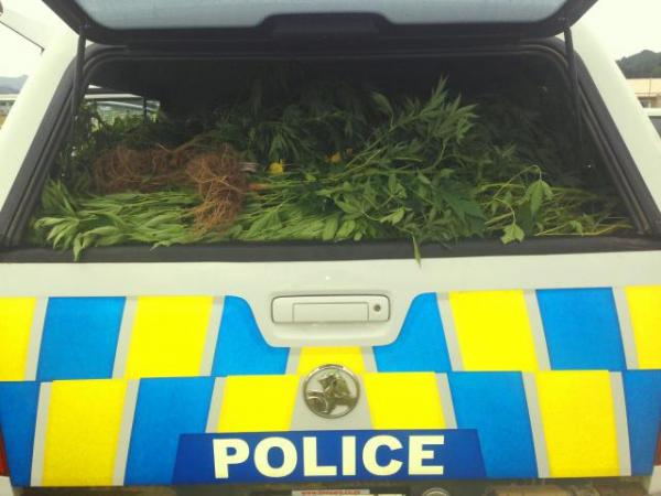 Boot-iful; some of the drugs headed for destruction by Police