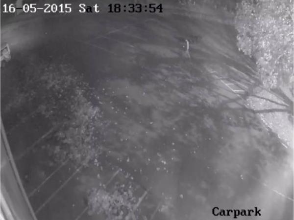 Possible witness