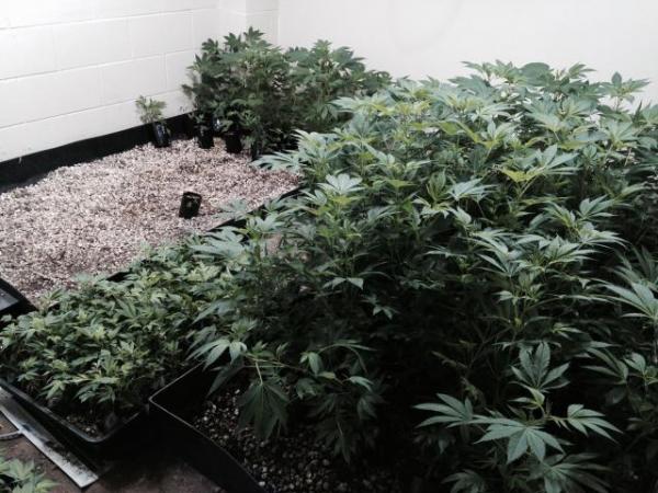 The nursery 