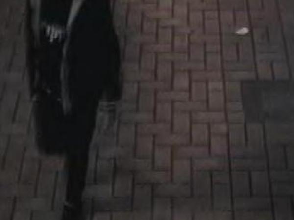 Suspect Mt Vic Indecent Assault