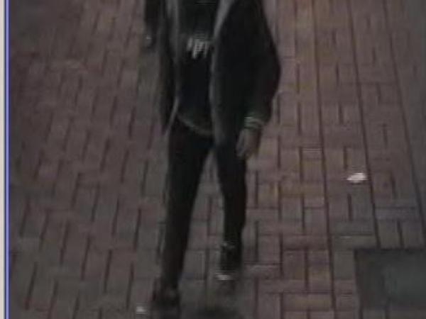 Suspect Mt Vic Indecent Assault Clothing