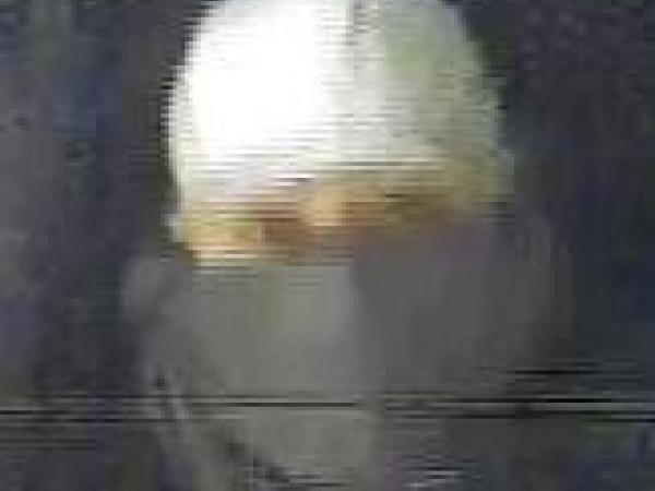 Commercial Burglary Identity Sought