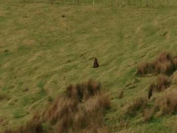 The scene that greeted Police in rural Helensville 