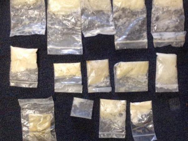 Some of the meth found at the Puhoi property