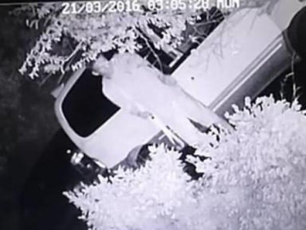 Wellington Police are trying to identify the male in this photograph who committed a burglary to a residential address 