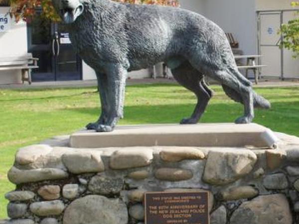 Six new dogs to hit beat in dog graduation June 2016