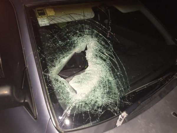 Windscreen 