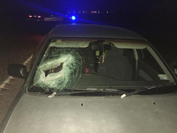 Windscreen 2