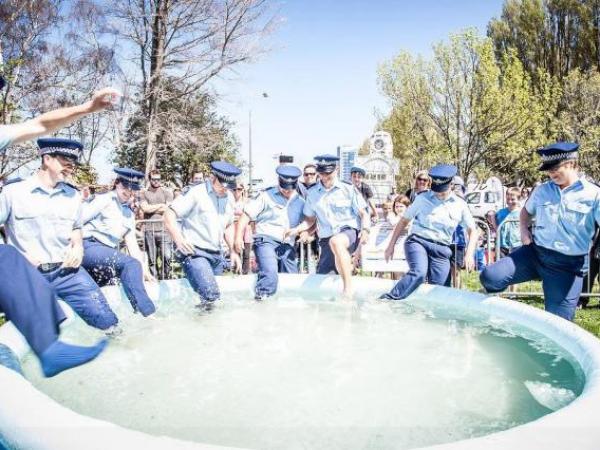In 2015, Team Blue raised $1800 and won the team spirit award