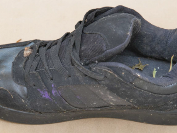 Image of shoe