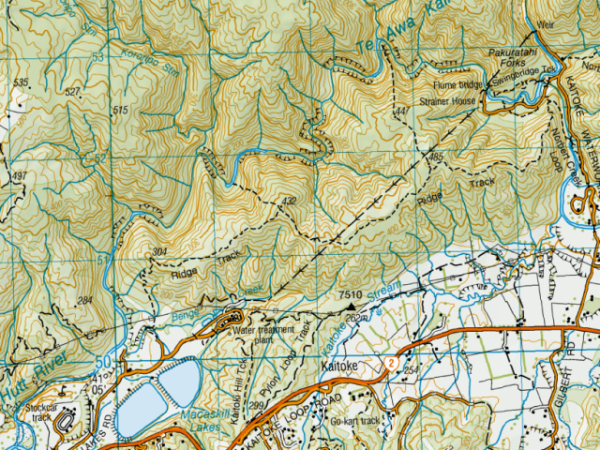 NZ Topo Map