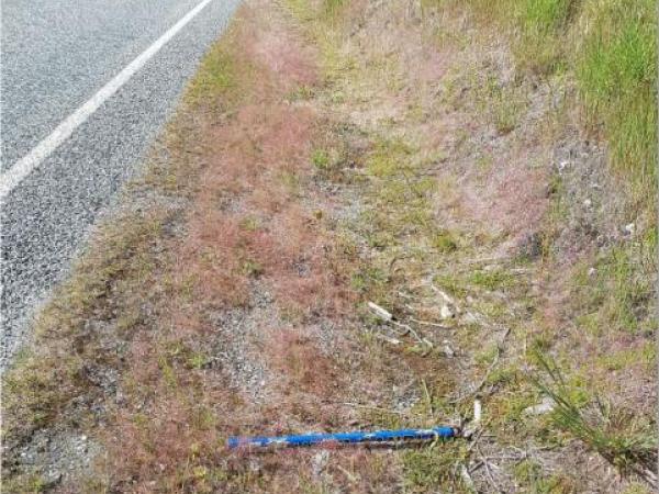 Firework on the side of the road